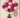 Pink Flower Bouquet Cupcakes