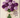 Purple Flower Bouquet Cupcakes